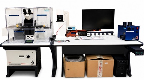 Leica dmi6000 tcs - cs,